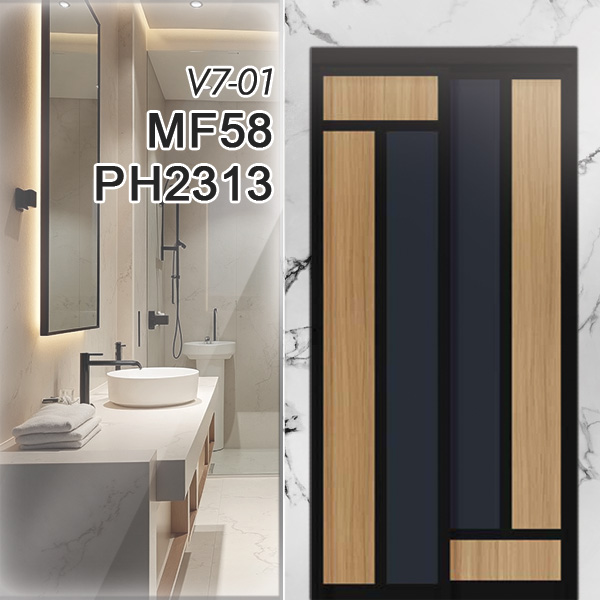 V7-01 MF58 PH2313