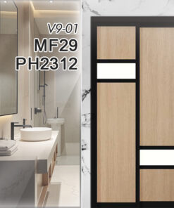 V9-01 MF29 PH2312 (Copy)