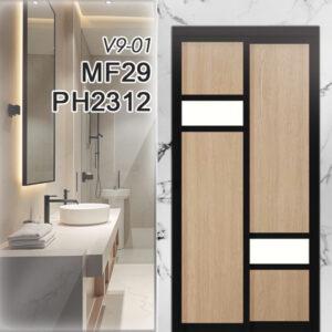V9-01 MF29 PH2312 (Copy)